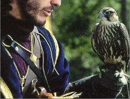 The King's Falcon